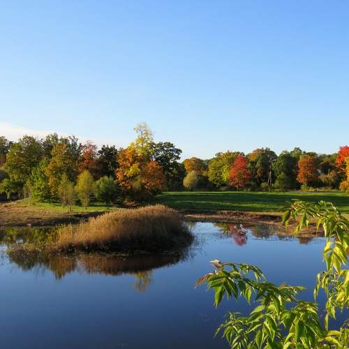 Photo #6658521
