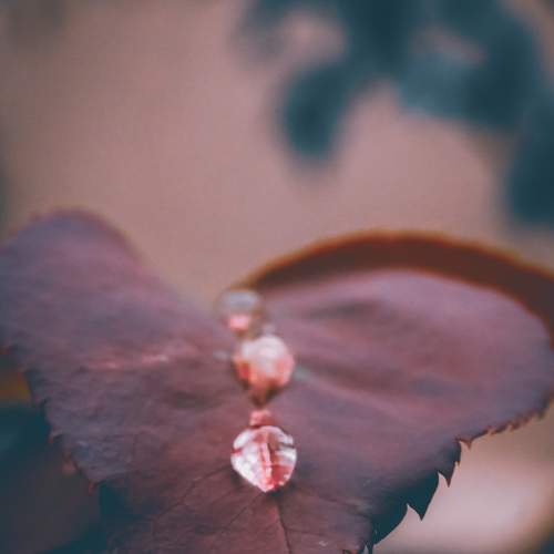 Photo #6658835