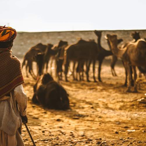 Photo #6658898