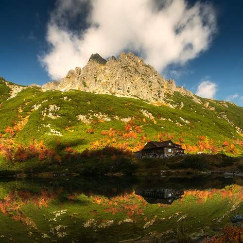 Photo #6658964