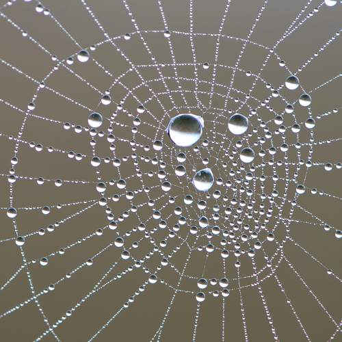 Бездонный лабиринт.