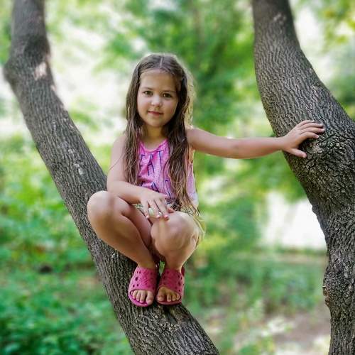 Photo #6659298