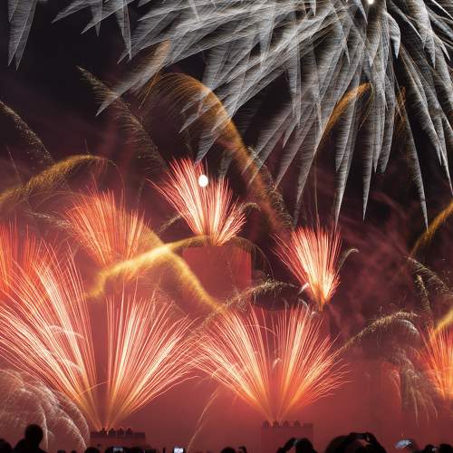 Photo #6659406