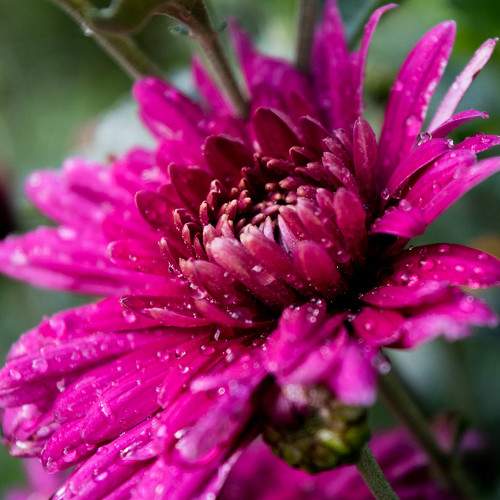 Photo #6659793