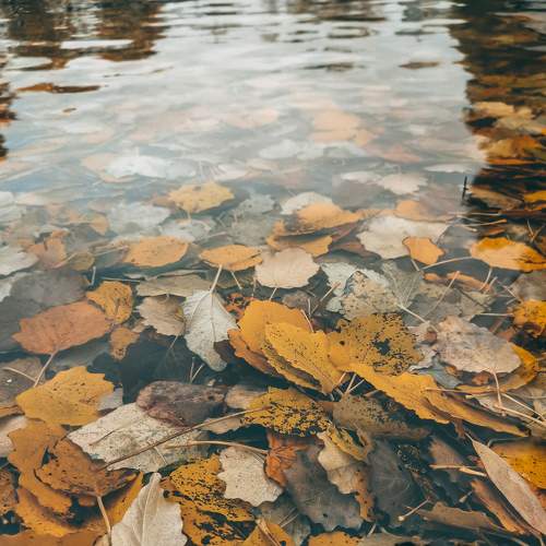 Под водой.