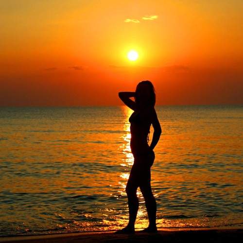 Photo #6660073