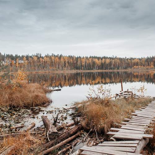 Photo #6660091