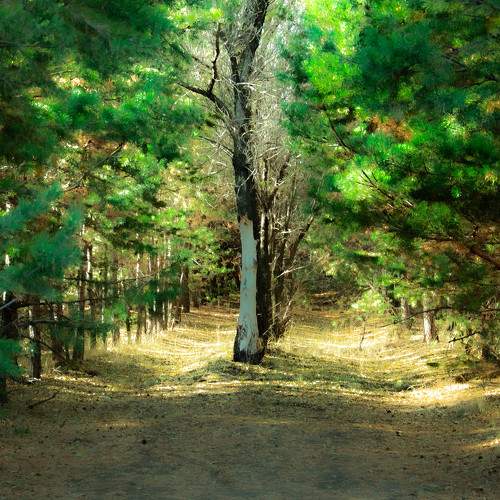 Photo #6660151