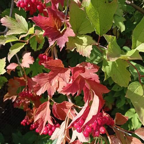 Photo #6660419