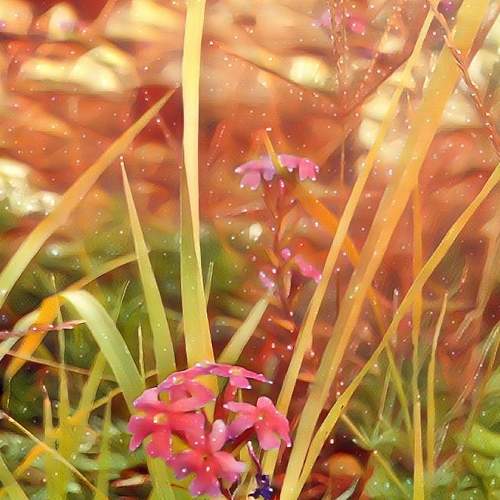 Photo #6660501