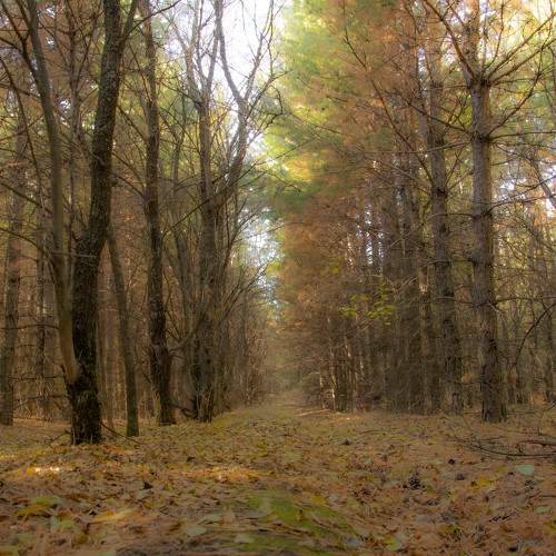 Photo #6660689