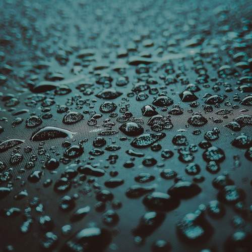 Photo #6660913