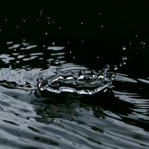 Photo #6660915