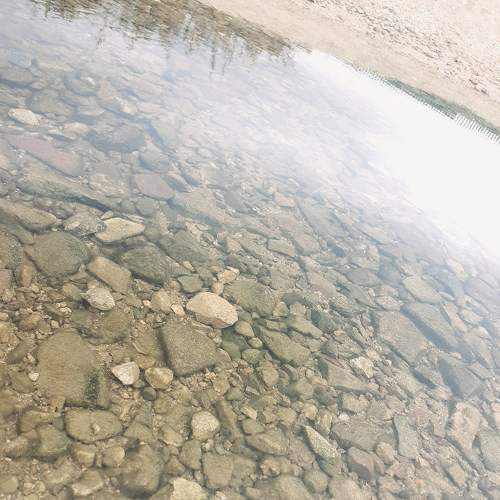 Photo #6661119