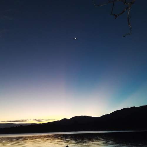 Photo #6661349