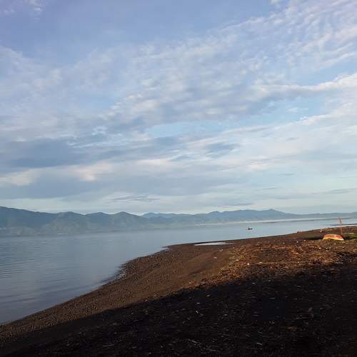 Photo #6661351