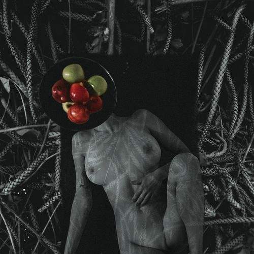 Photo #6661498