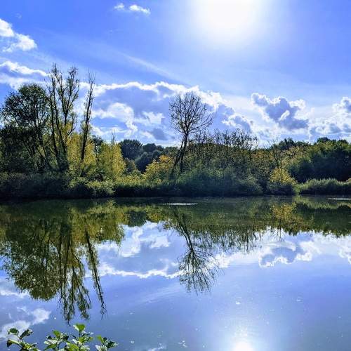 Photo #6661740