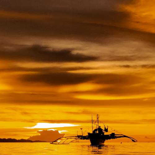 Photo #6661858