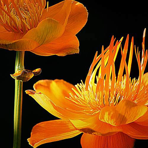 Photo #6661906