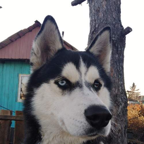 Photo #6662533