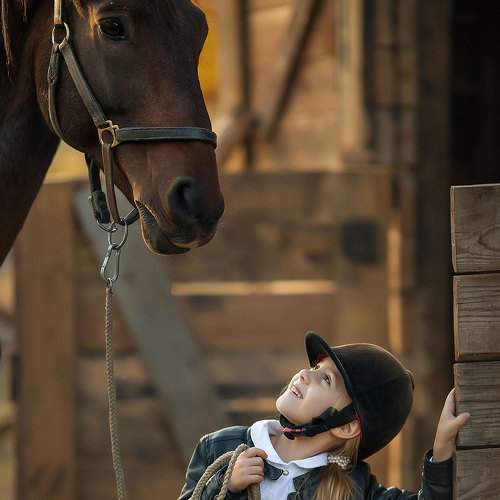 Фотография #6662584