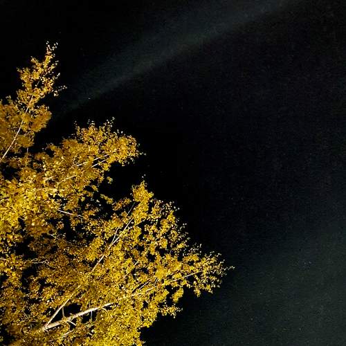 Photo #6662975