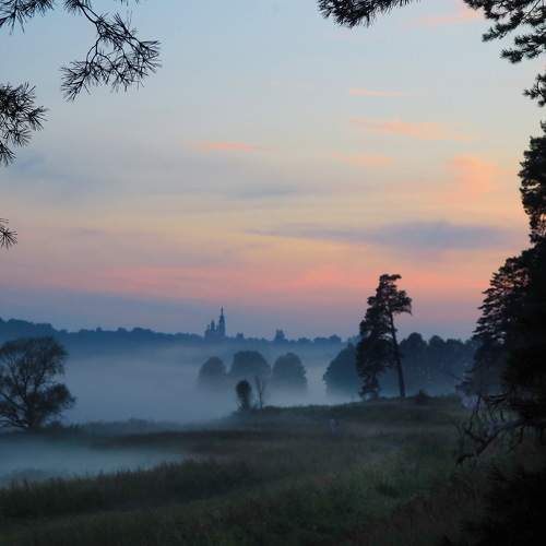 Photo #6663003