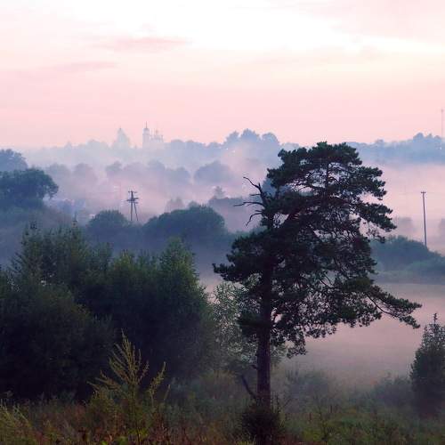 Photo #6663012
