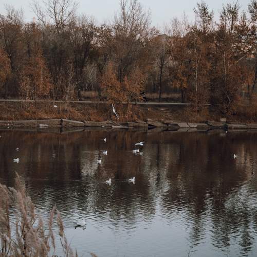 Photo #6663026