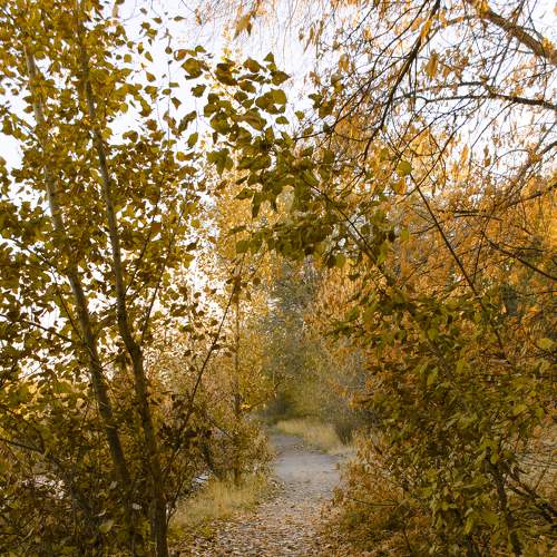 Photo #6663028