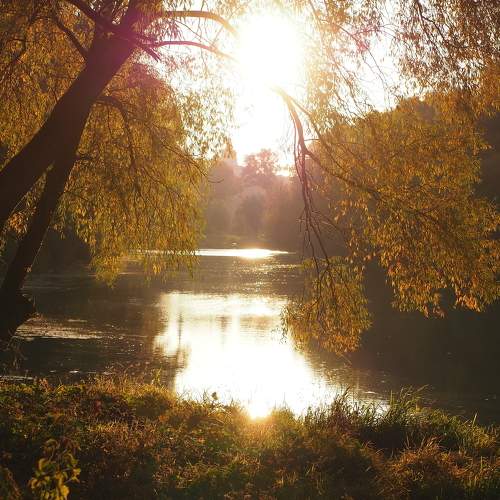 Photo #6663133