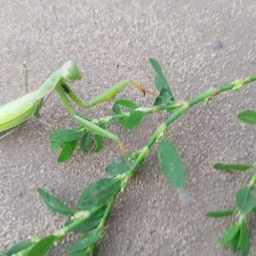 Photo #6663175