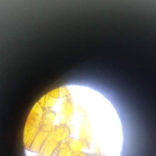 Photo #6663182