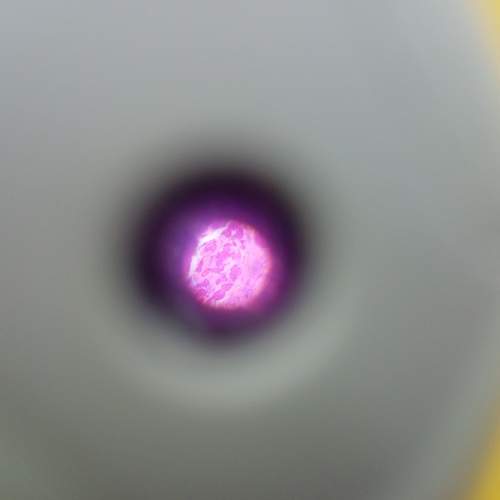 Photo #6663202