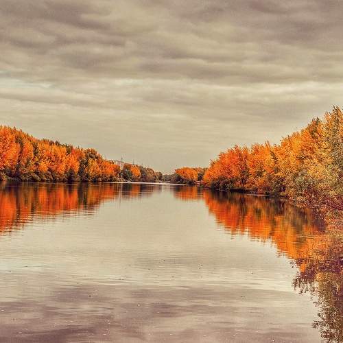 Photo #6663221