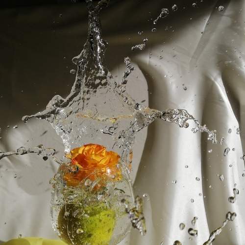 Photo #6663492