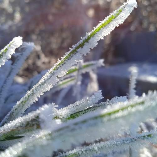 Photo #6663610