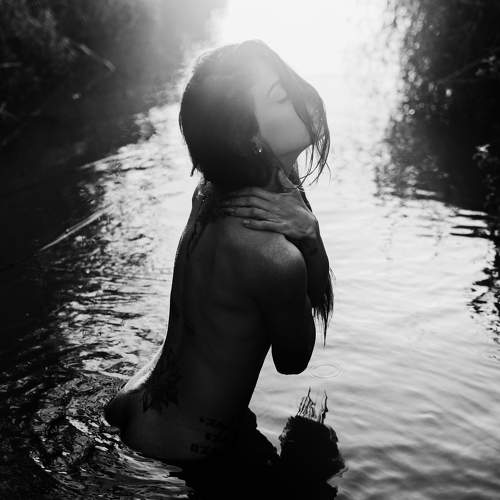 Photo #6663642