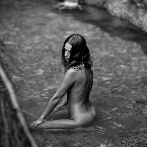 Photo #6663652