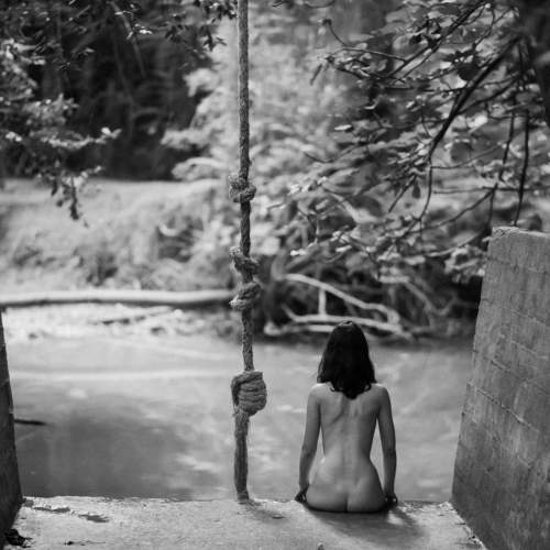 Photo #6663653