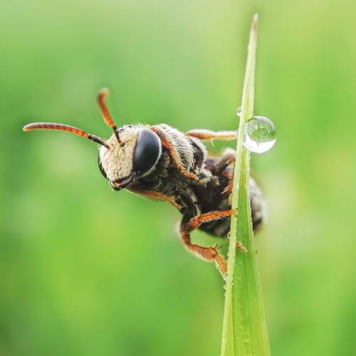 Photo #6663731