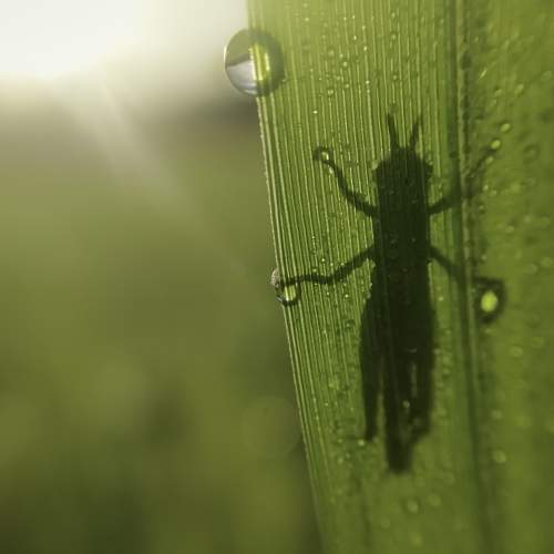 Photo #6663742