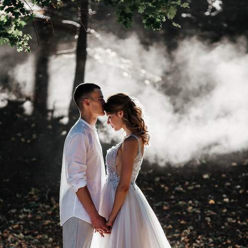 Photo #6663745