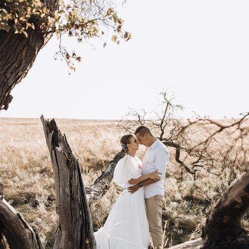 Photo #6663747