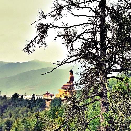Photo #6663798