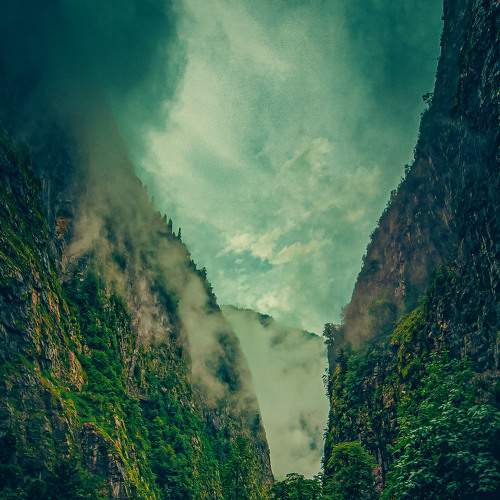Photo #6663903
