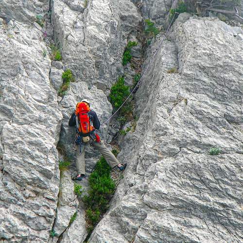 Photo #6664360