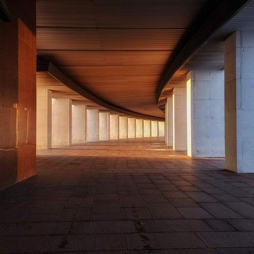 Photo #6664419