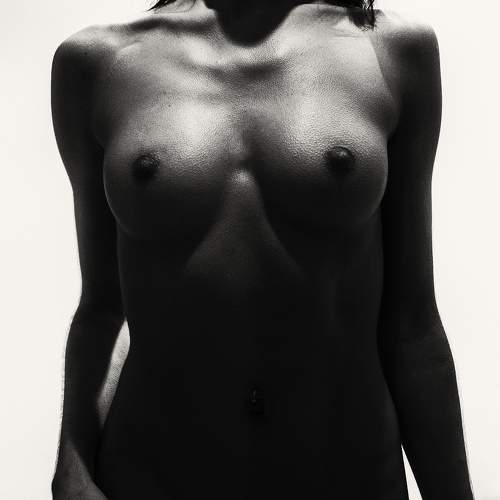 Photo #6664663